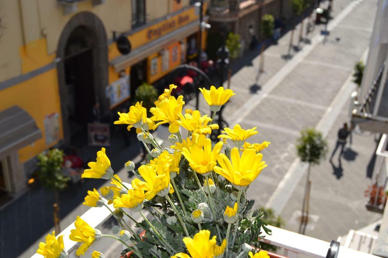 Guest house La Piccola Sorrento