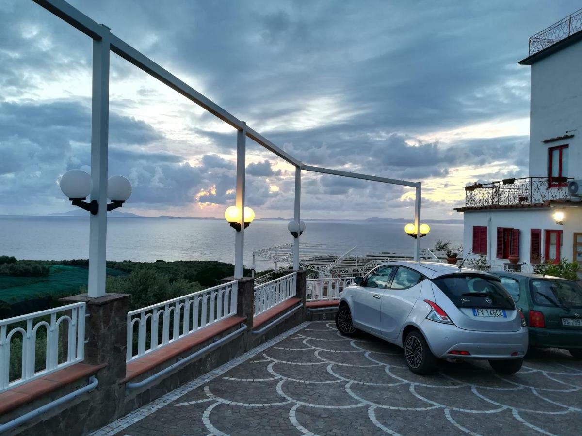 Dania Hotel