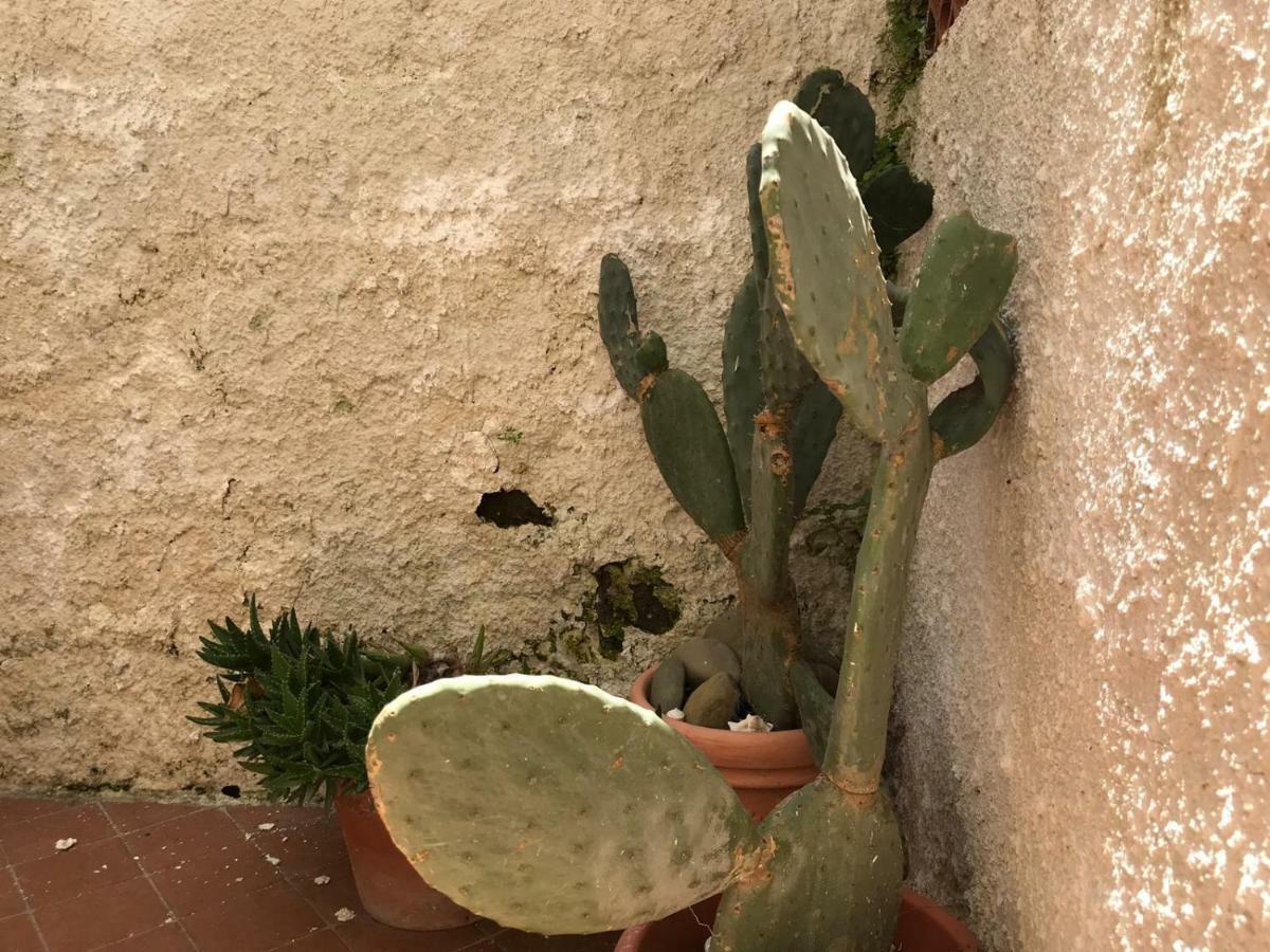 Appartement La Lampara Sorrento