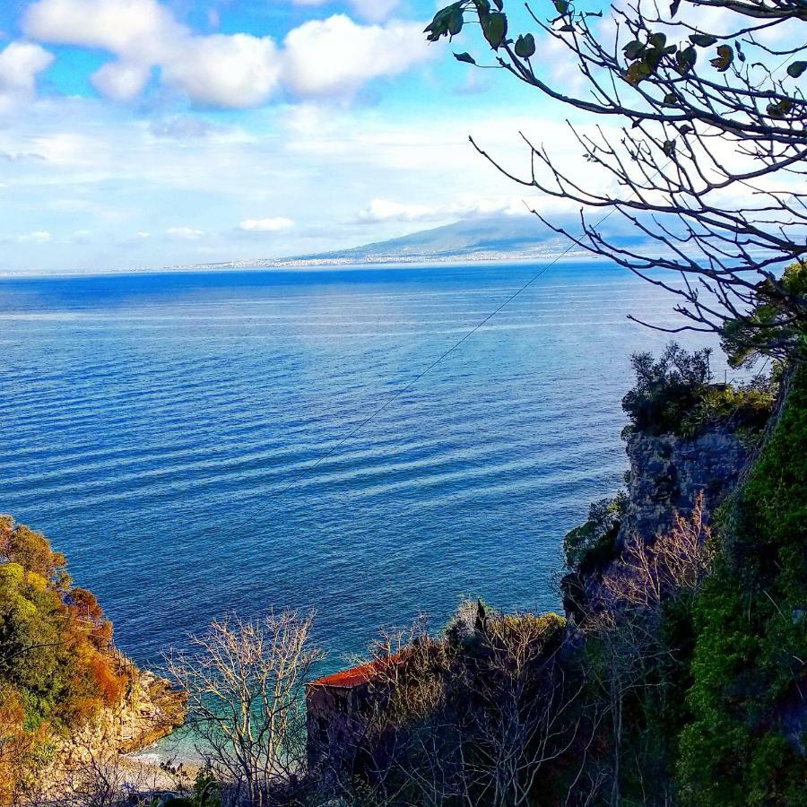 Desiree 2* Sorrento