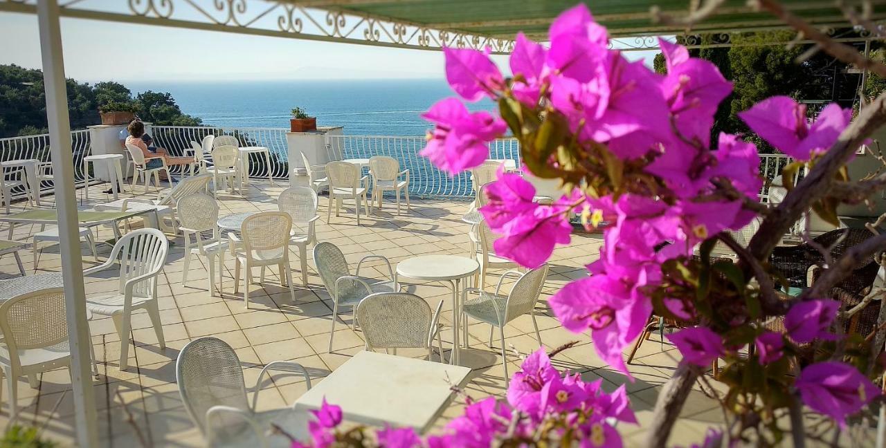Hotel Desiree