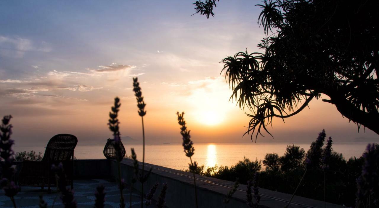 Guest house Rufola Sorrento