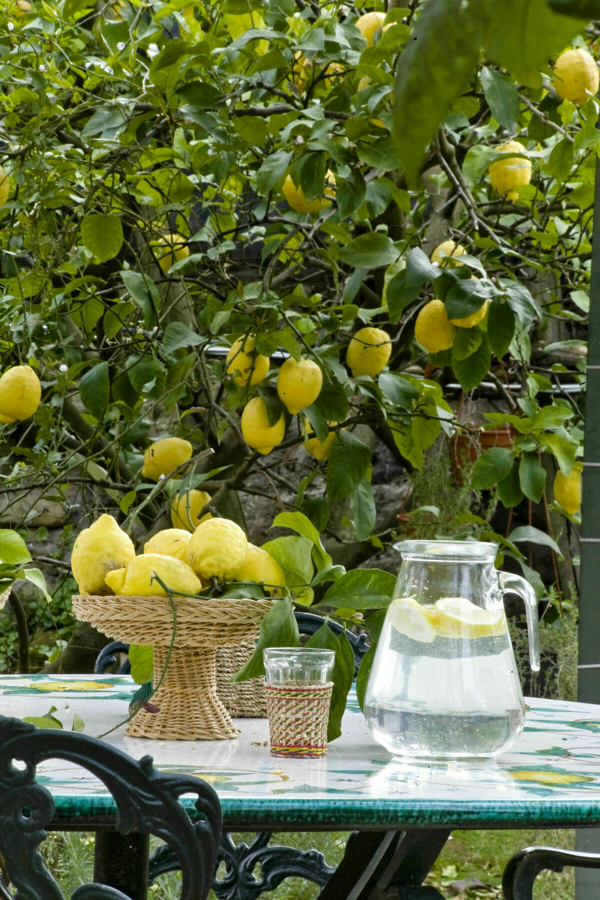 Lidia Bed & Breakfast Sorrento