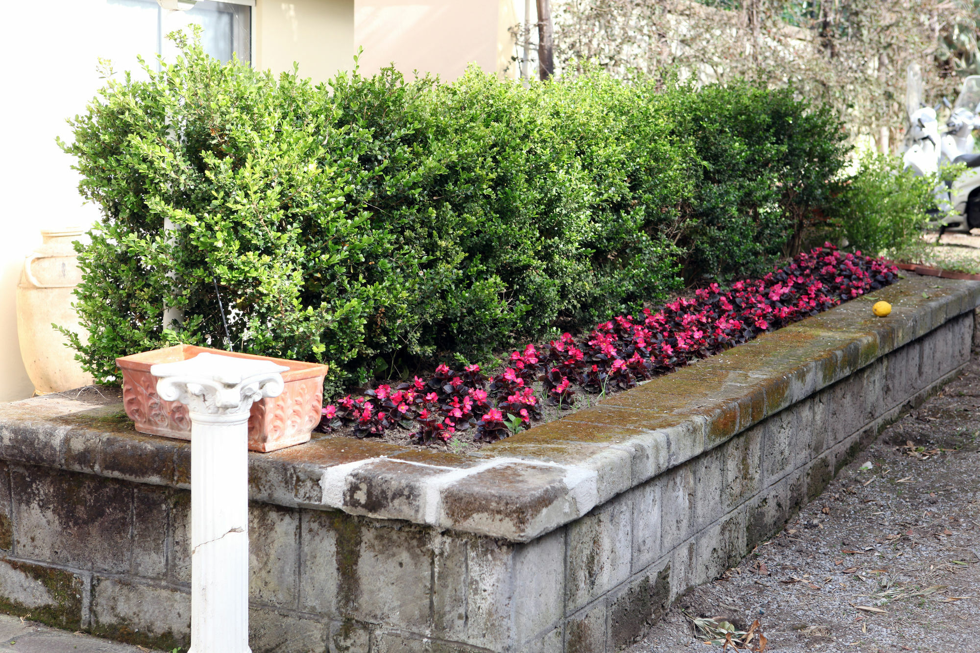 Marina Grande Apartamento Sorrento