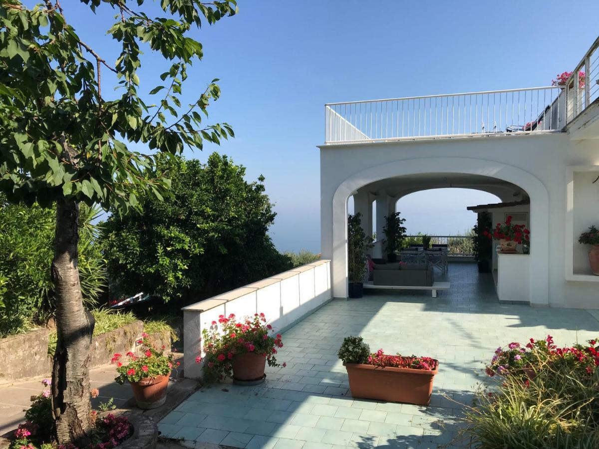Garden * Sorrento