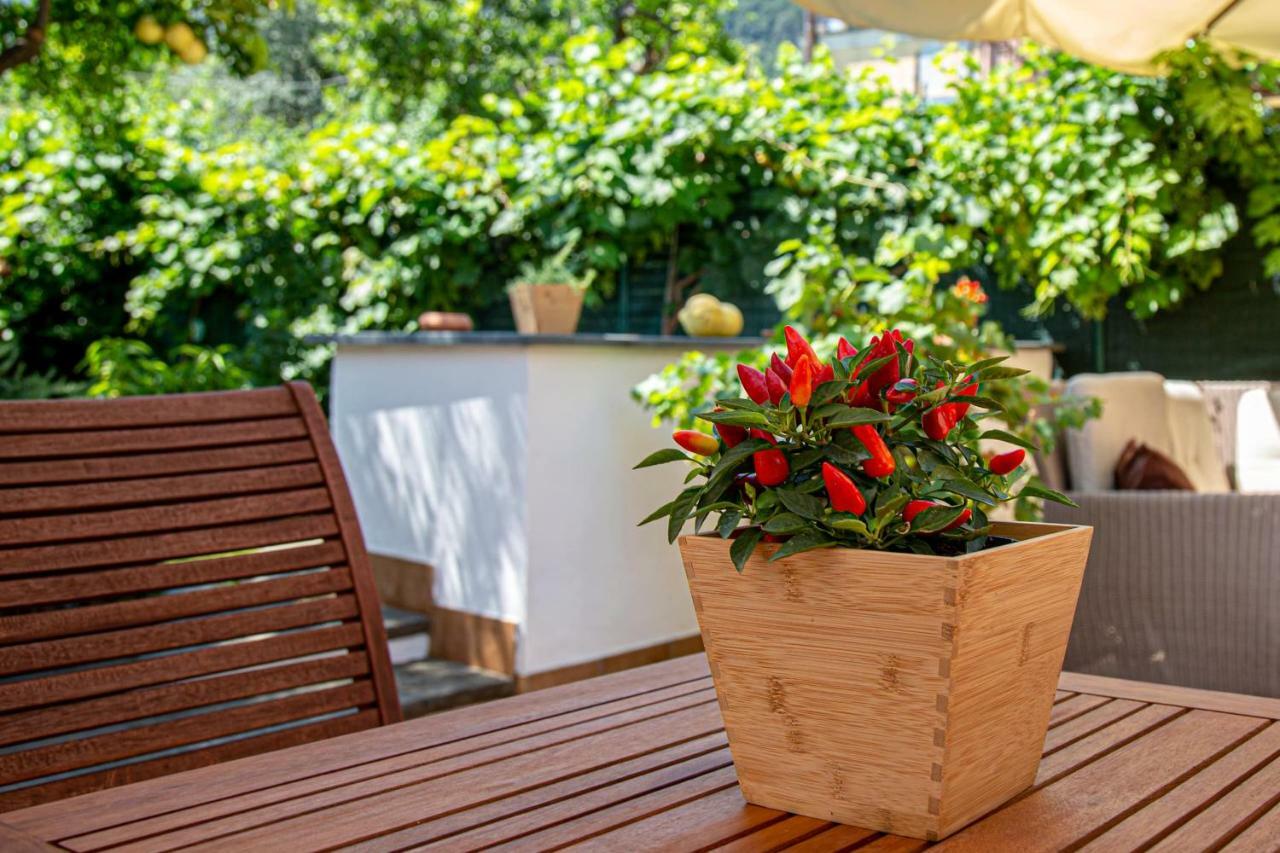 Affittacamere Xenia House Sorrento