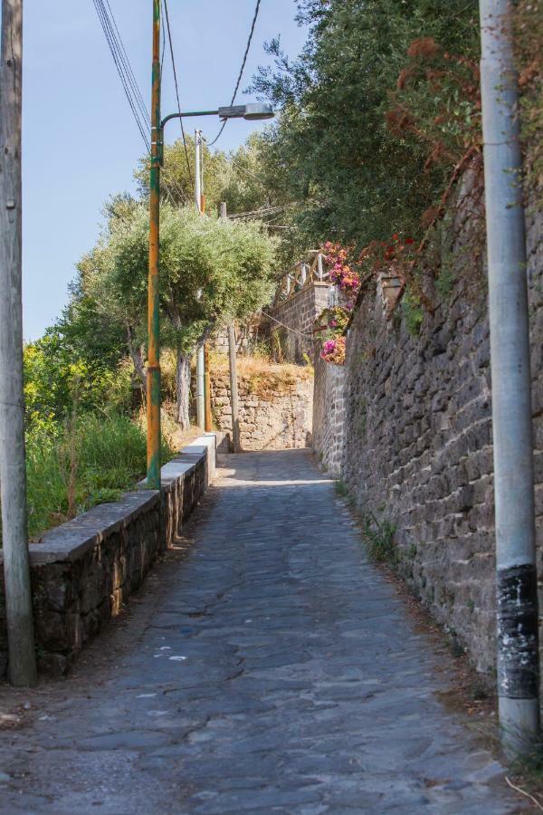 Maison Del Mare Sorrento. *