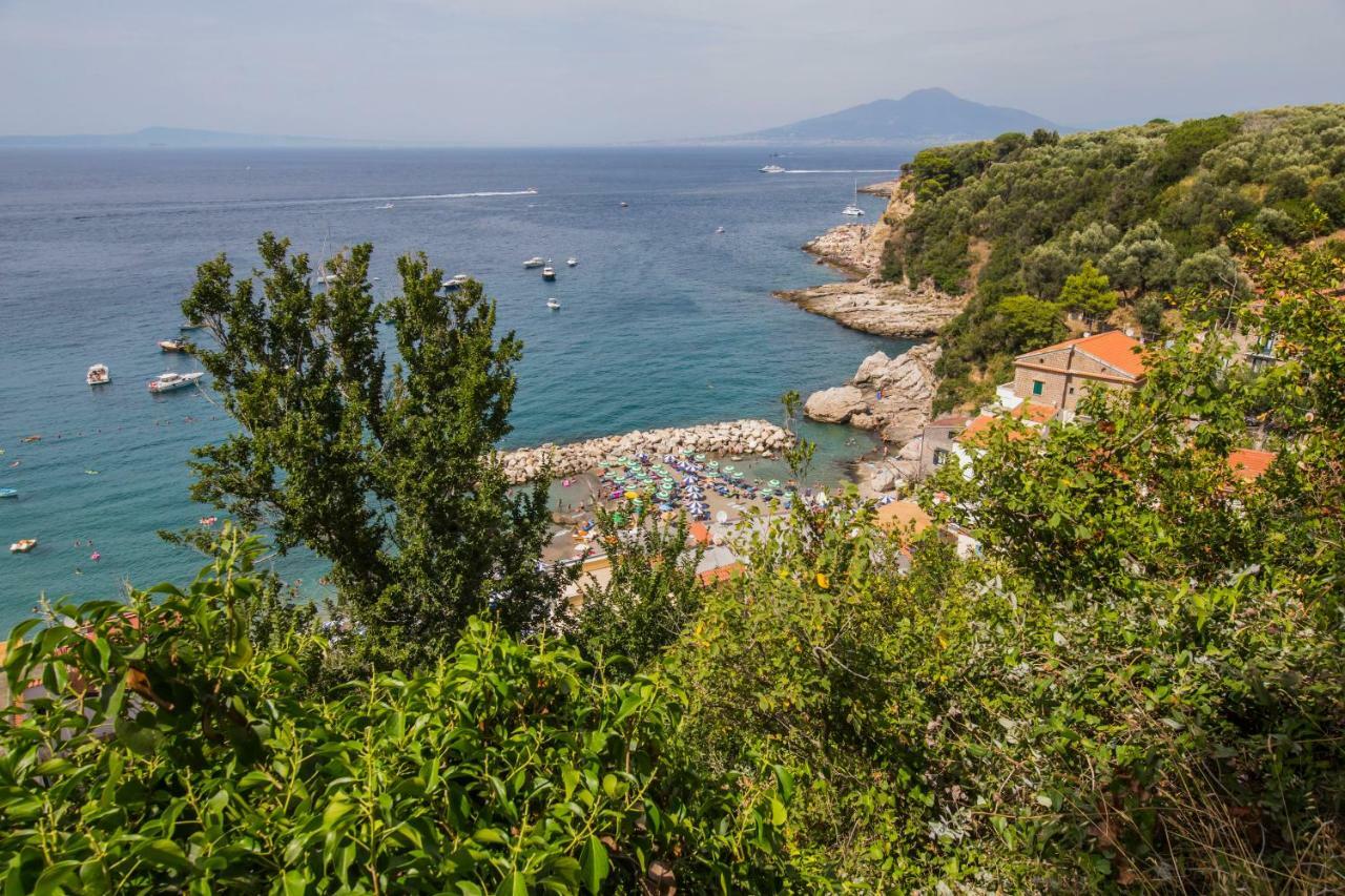 Maison Del Mare Sorrento. * Sorrento