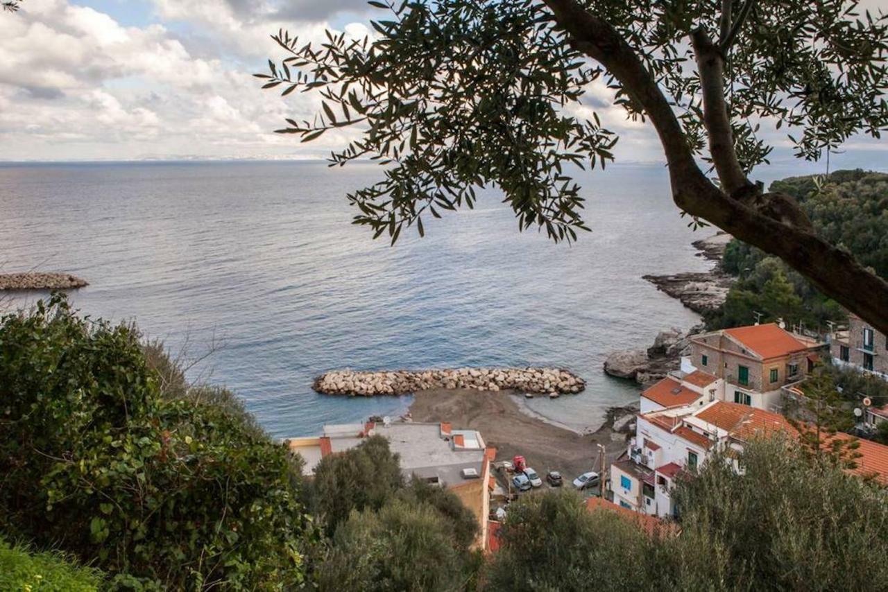 Maison Del Mare Sorrento. *