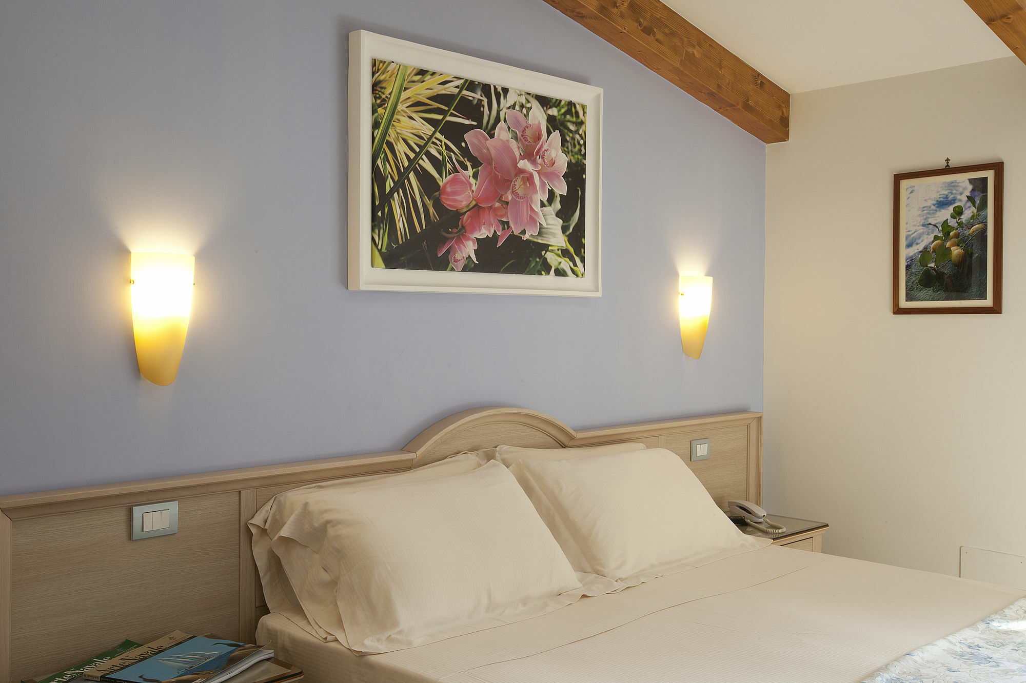 Angiolina Relais Affittacamere