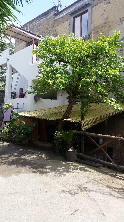 Casa Carolina Bed & Breakfast Sorrento