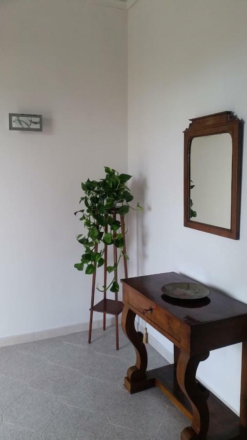 Casa Carolina Bed & Breakfast
