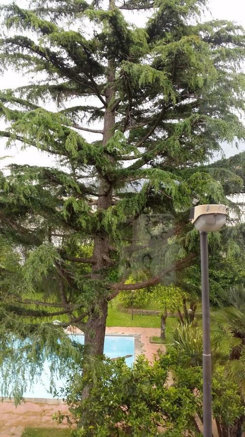 Bed & Breakfast Casa Carolina Sorrento