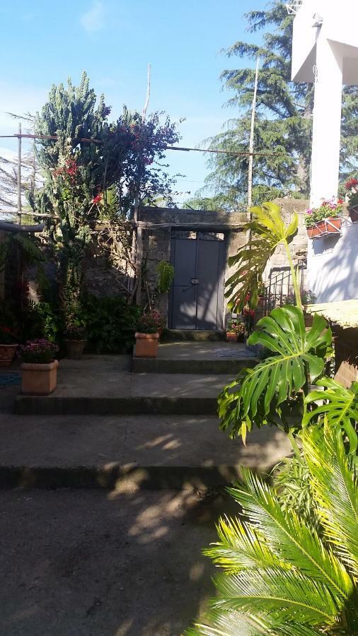 Casa Carolina Bed & Breakfast