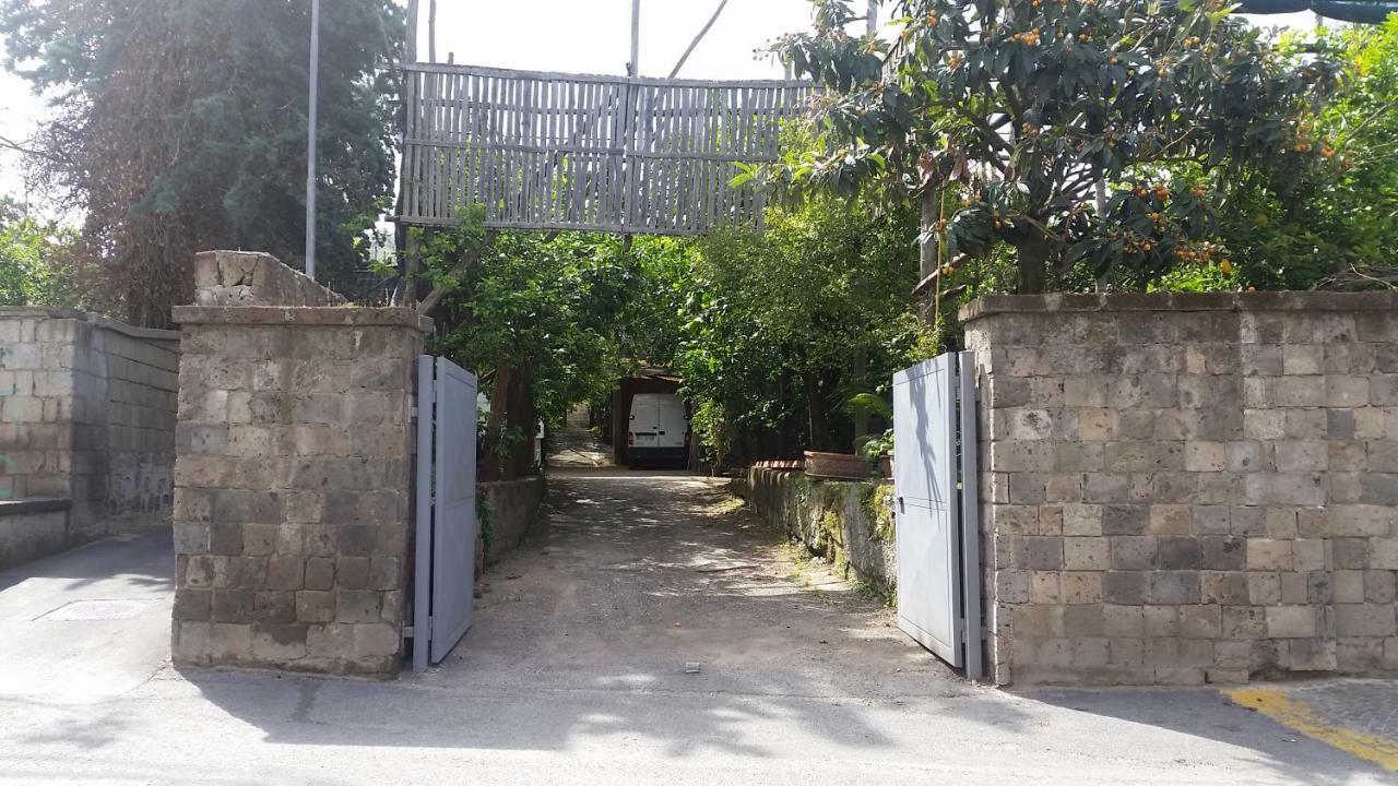 Casa Carolina *