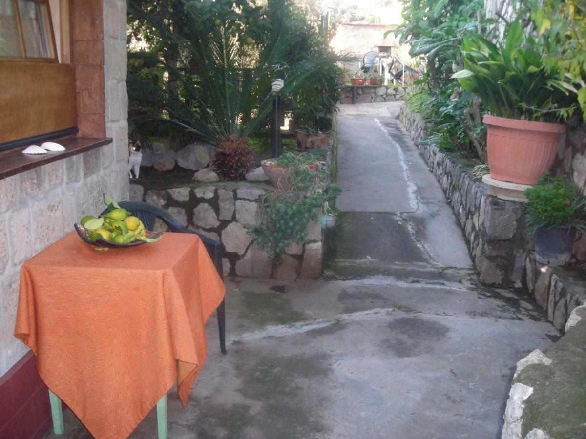 Bed & Breakfast L'arcobaleno *