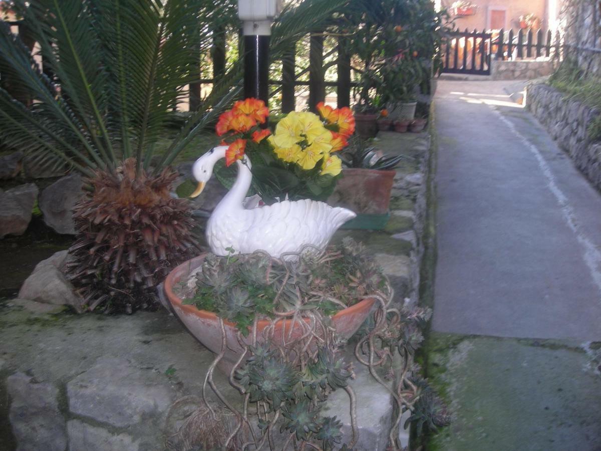 Bed & Breakfast L'arcobaleno *