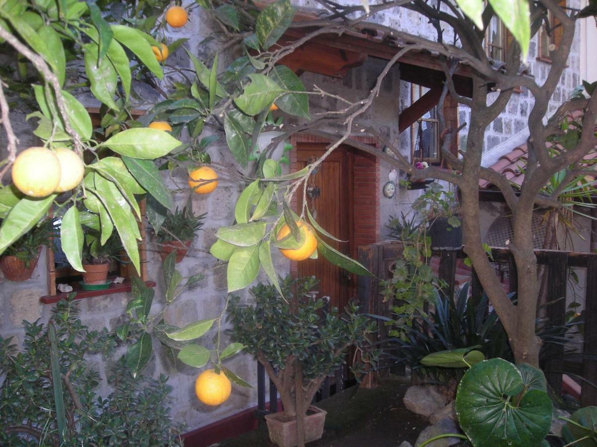 Bed & Breakfast L'arcobaleno