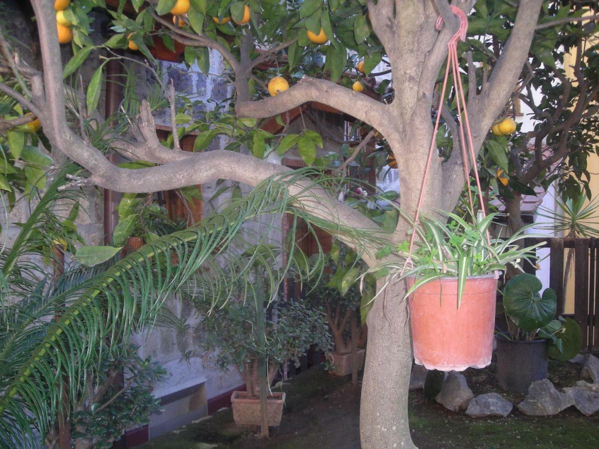 L'arcobaleno Bed & Breakfast Sorrento