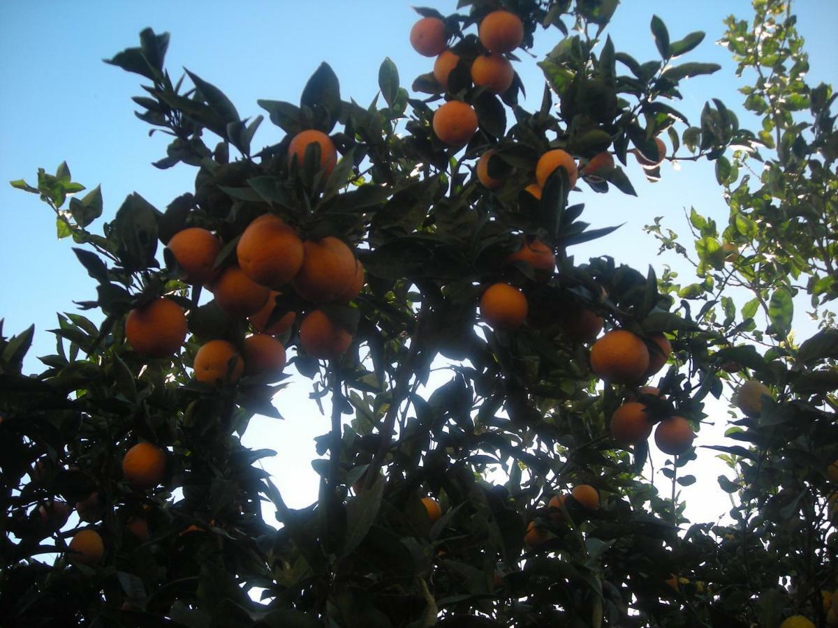 L'arcobaleno Bed & Breakfast Sorrento