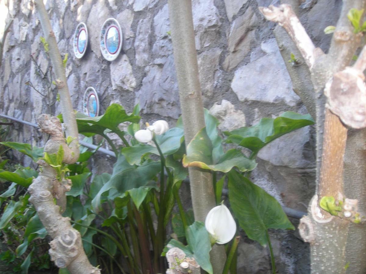 Bed & Breakfast L'arcobaleno *