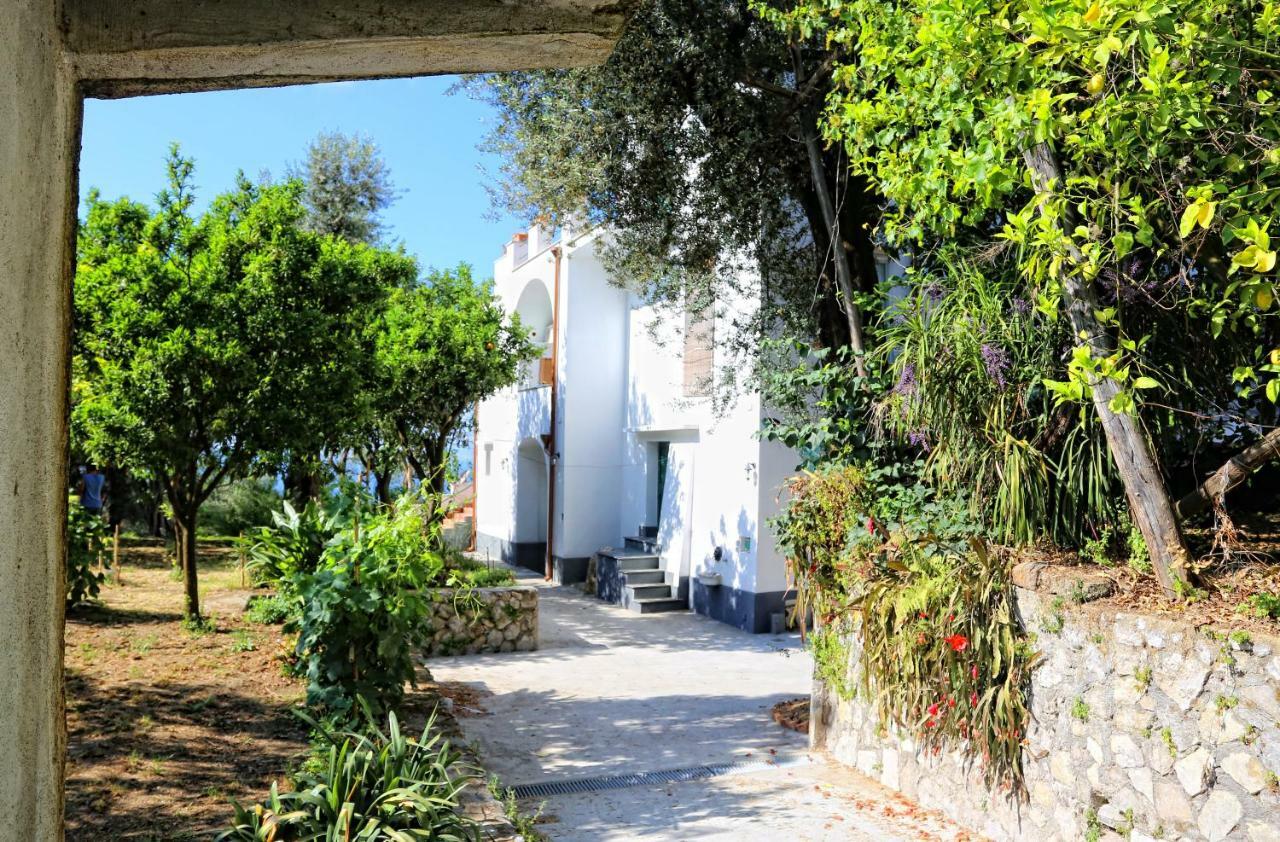 Apartment Beatrice Sorrento