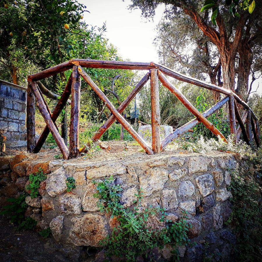 Apartamento Beatrice Sorrento