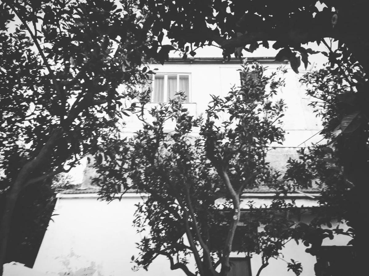 Beatrice Sorrento