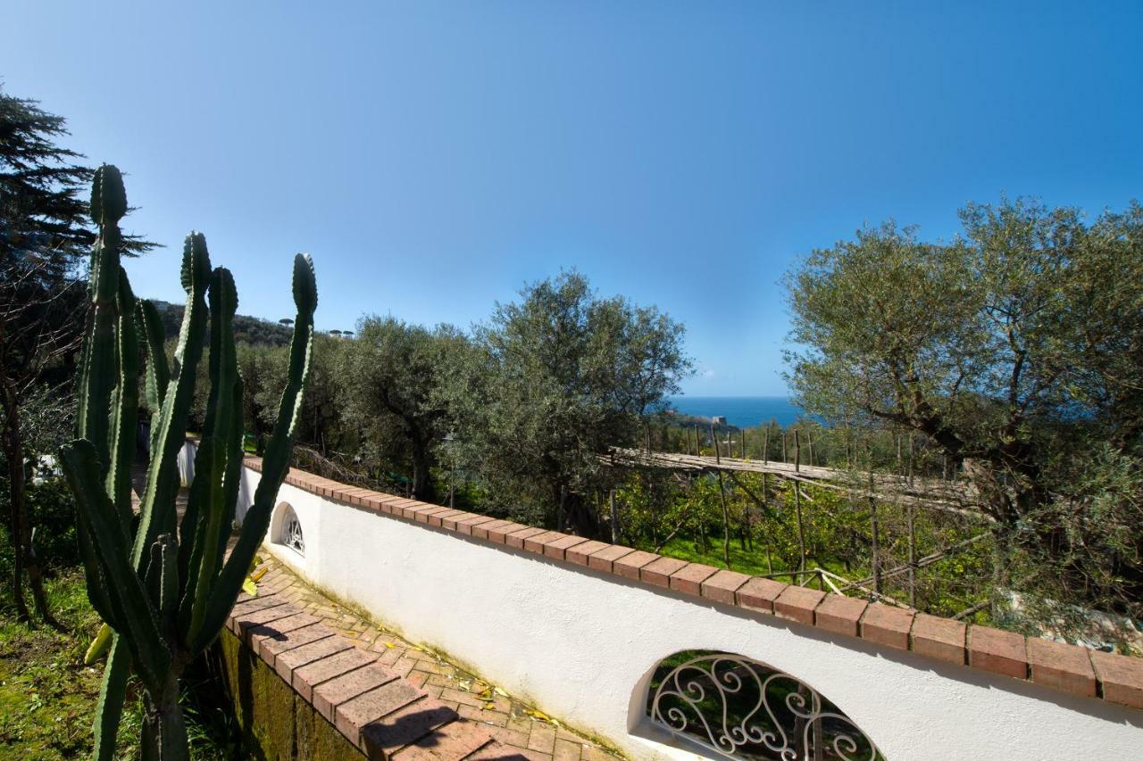 Apartment Le Olivine *