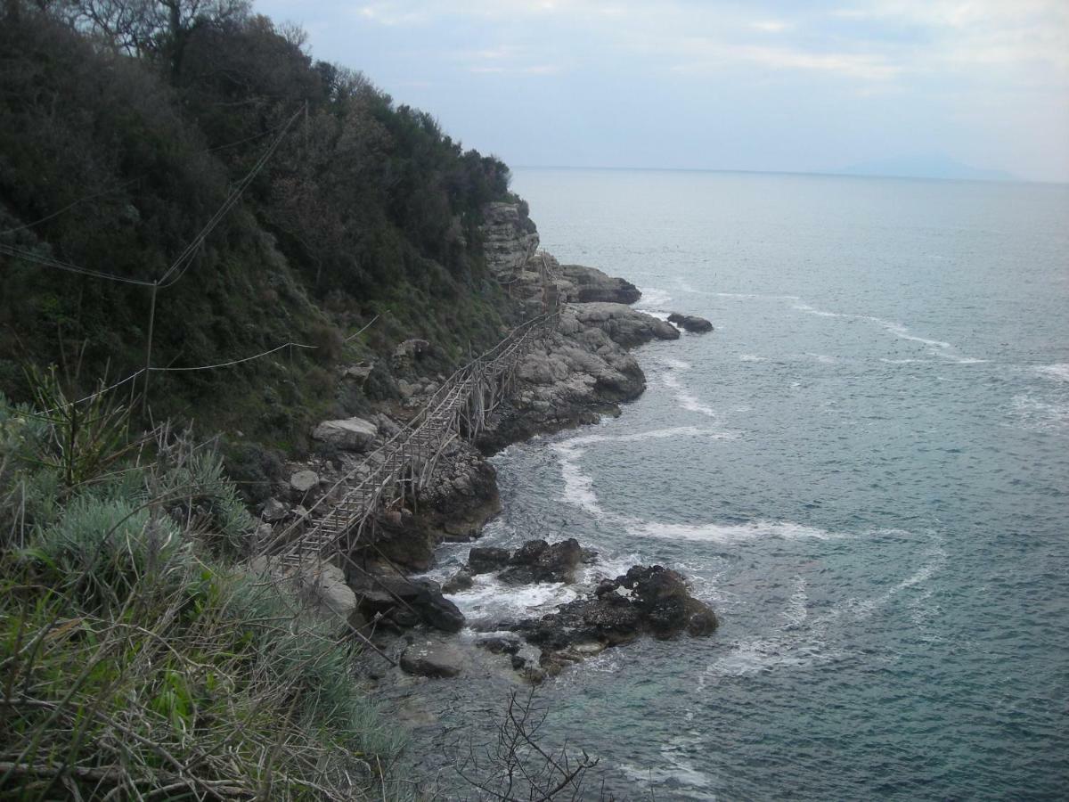 Raggio Di Sole *