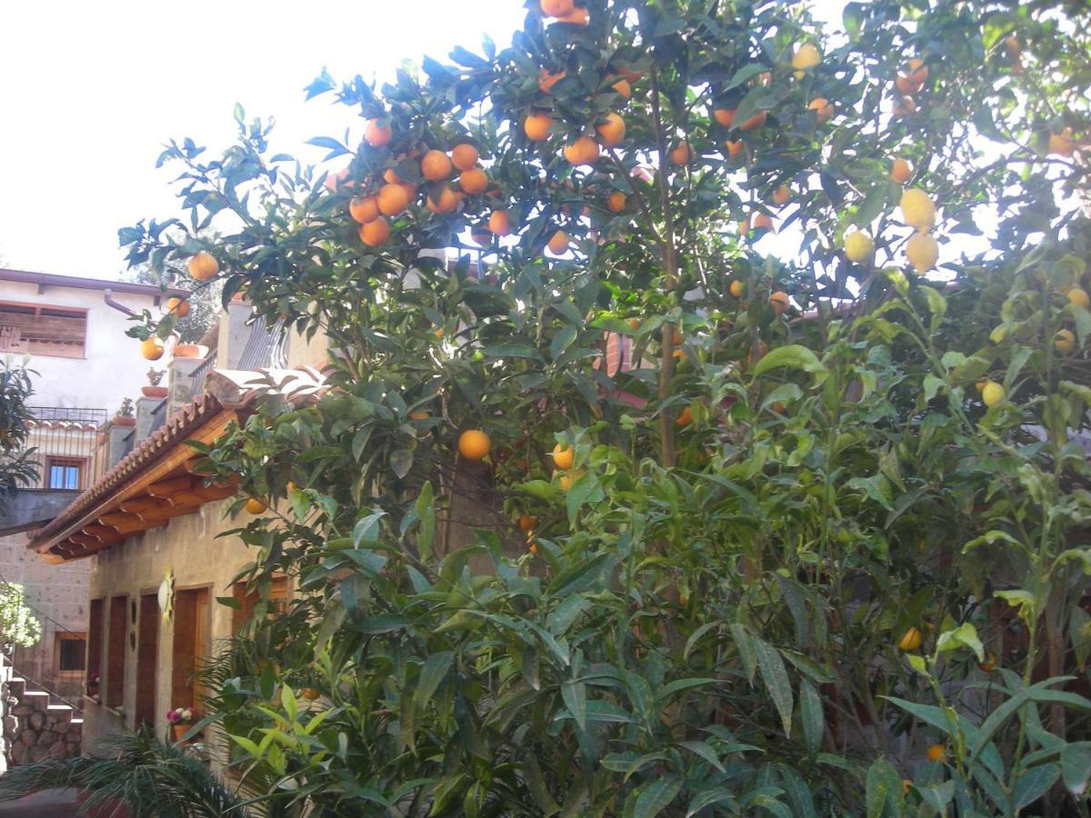 L'arcobaleno Bed & Breakfast Sorrento