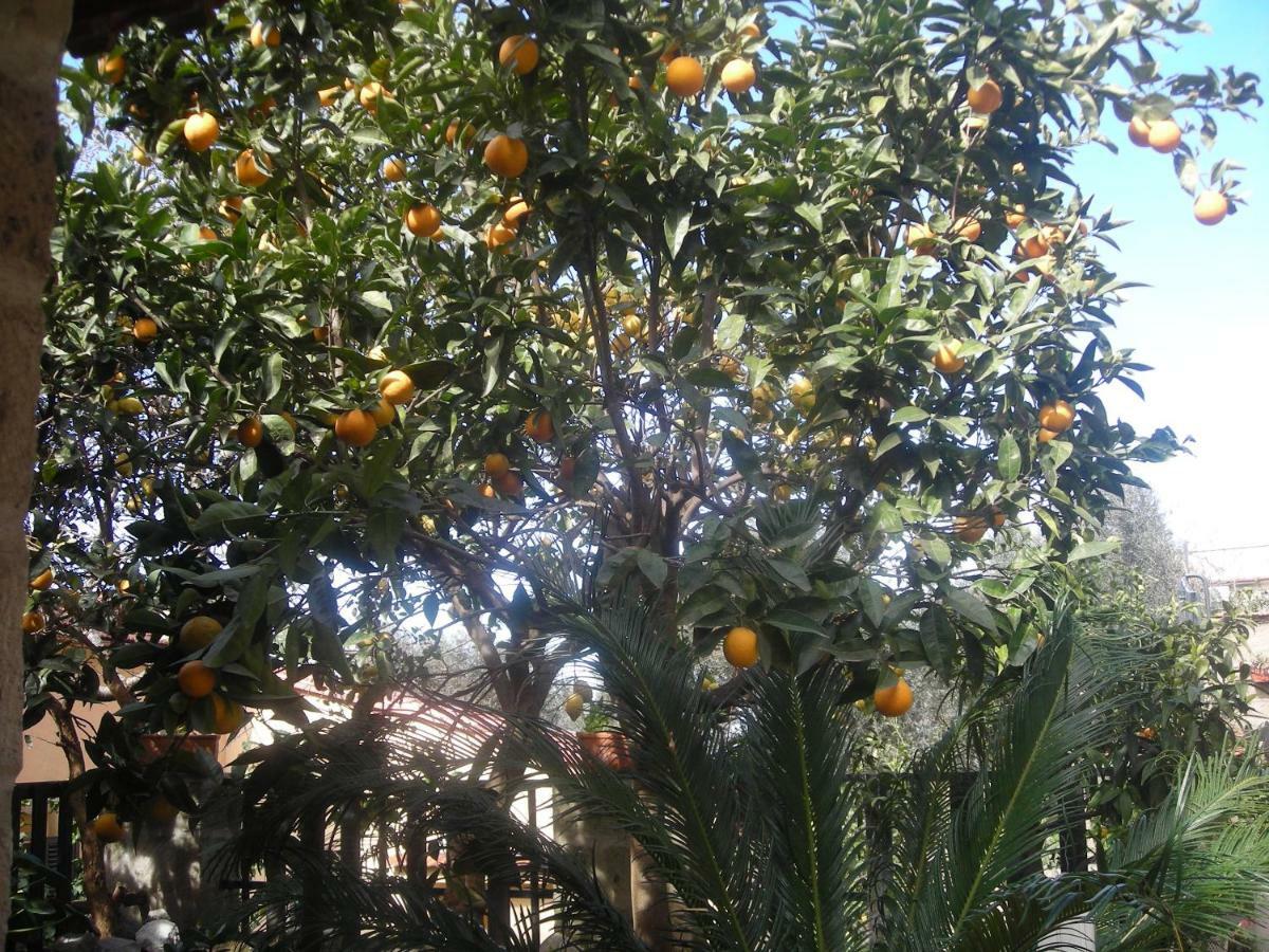 L'arcobaleno Bed & Breakfast Sorrento