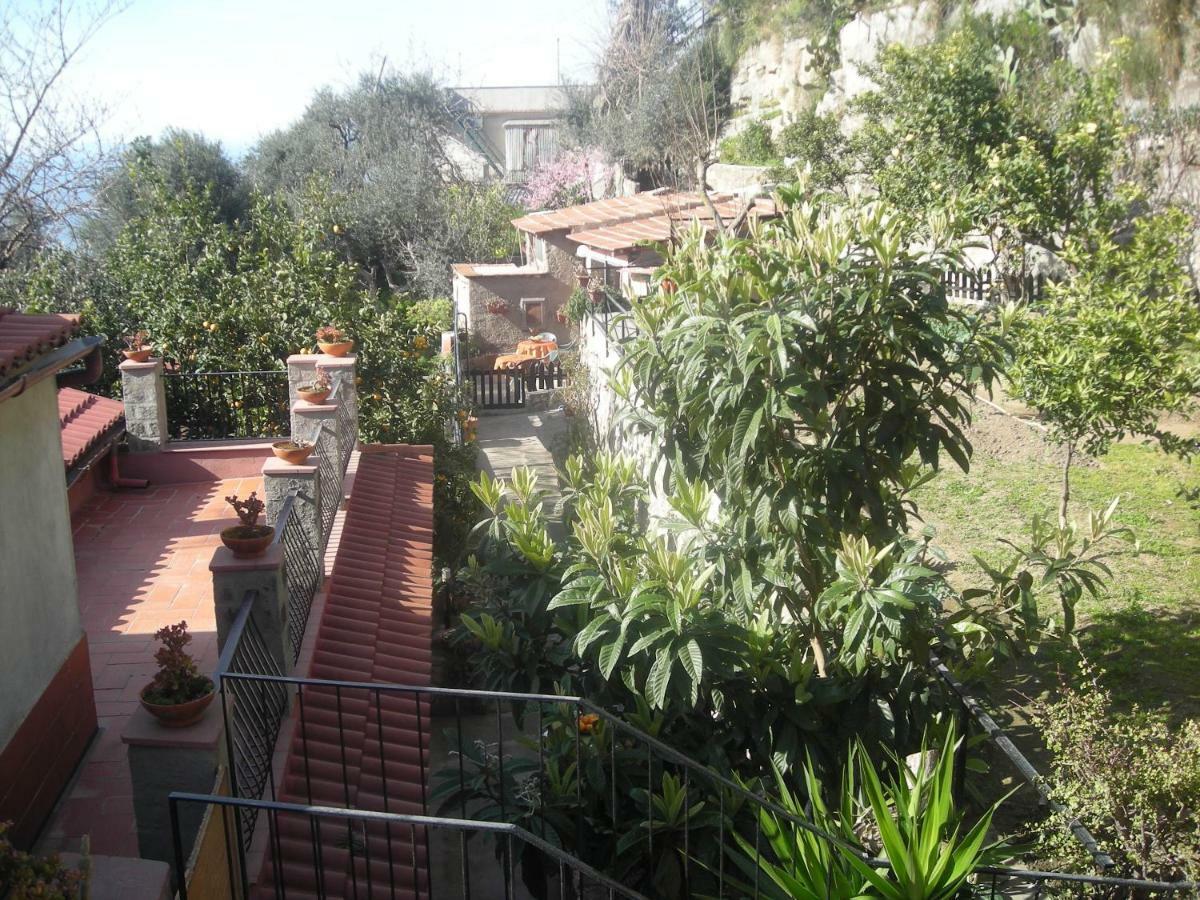 L'arcobaleno Bed & Breakfast Sorrento