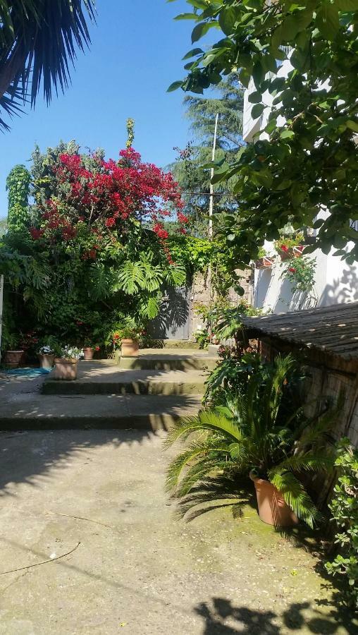 Casa Carolina *