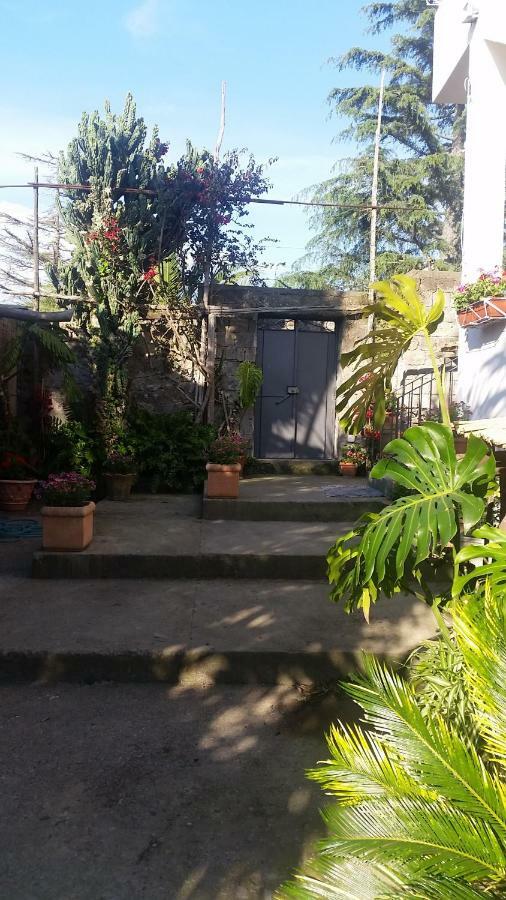 Bed & Breakfast Casa Carolina *