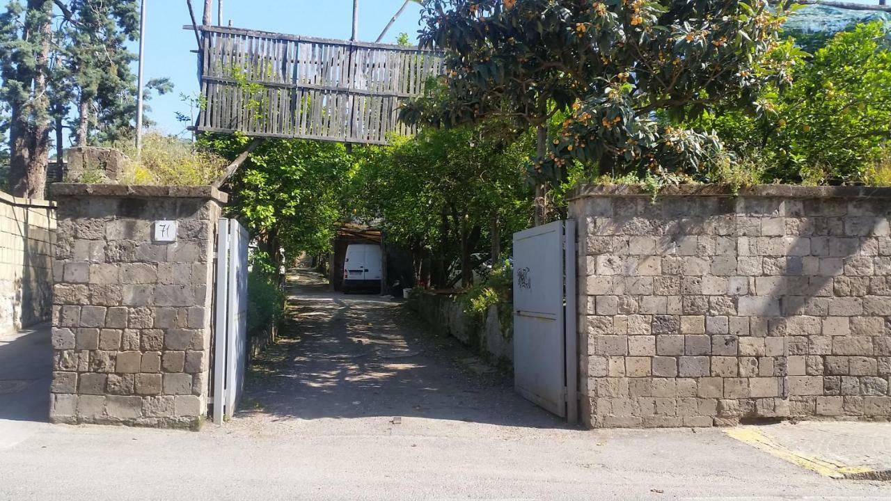 Bed & Breakfast Casa Carolina Sorrento
