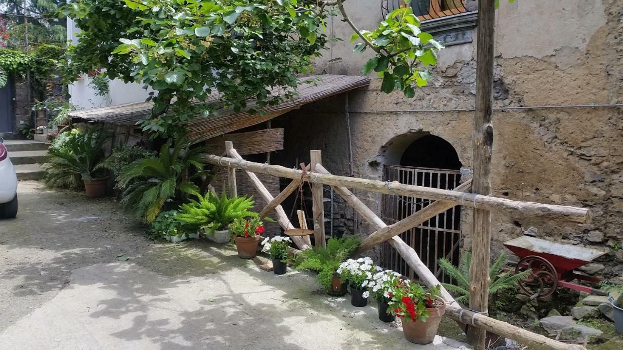 Casa Carolina Bed & Breakfast *
