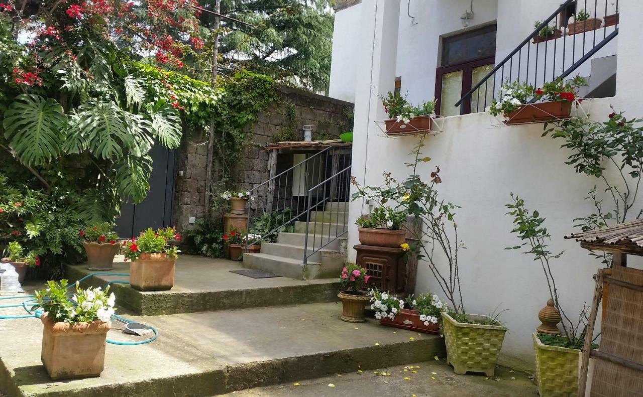 Bed & Breakfast Casa Carolina Sorrento