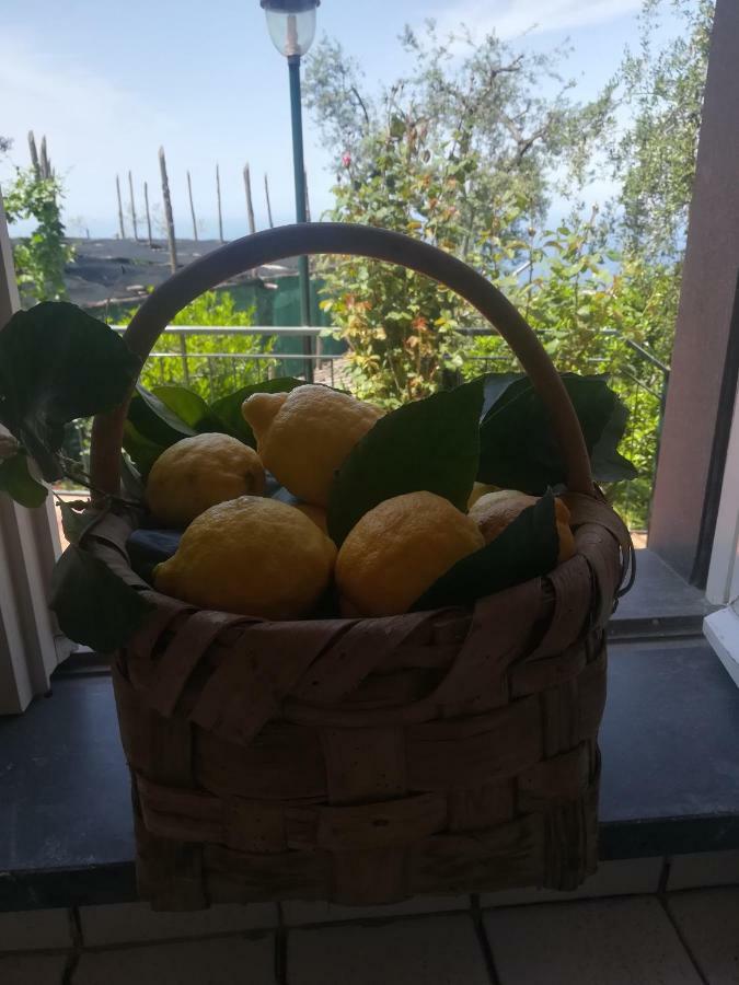 Casa Vacanza L'ulivo Holiday home *
