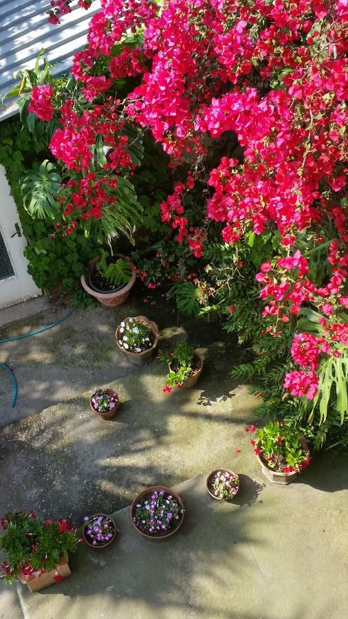 Bed & Breakfast Casa Carolina *