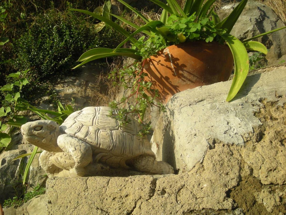 Bed & Breakfast L'arcobaleno