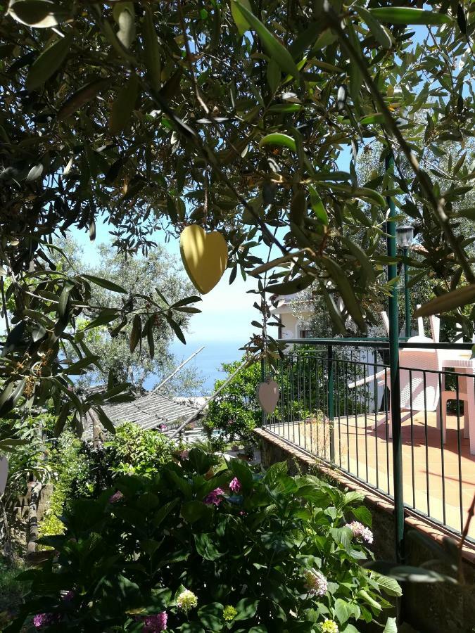 Casa Vacanza L'ulivo Holiday home *