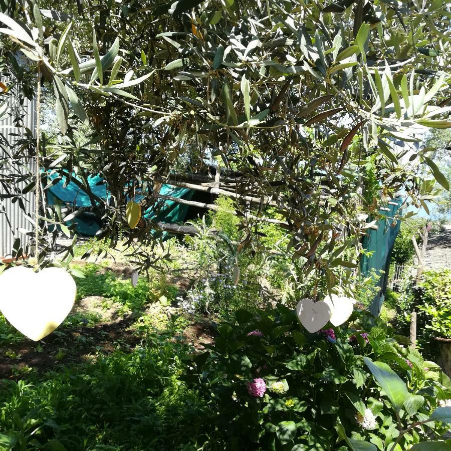 Casa Vacanza L'ulivo Holiday home *