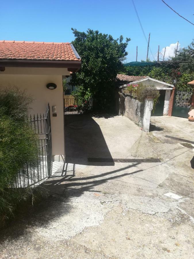 Casa Vacanza L'ulivo Sorrento