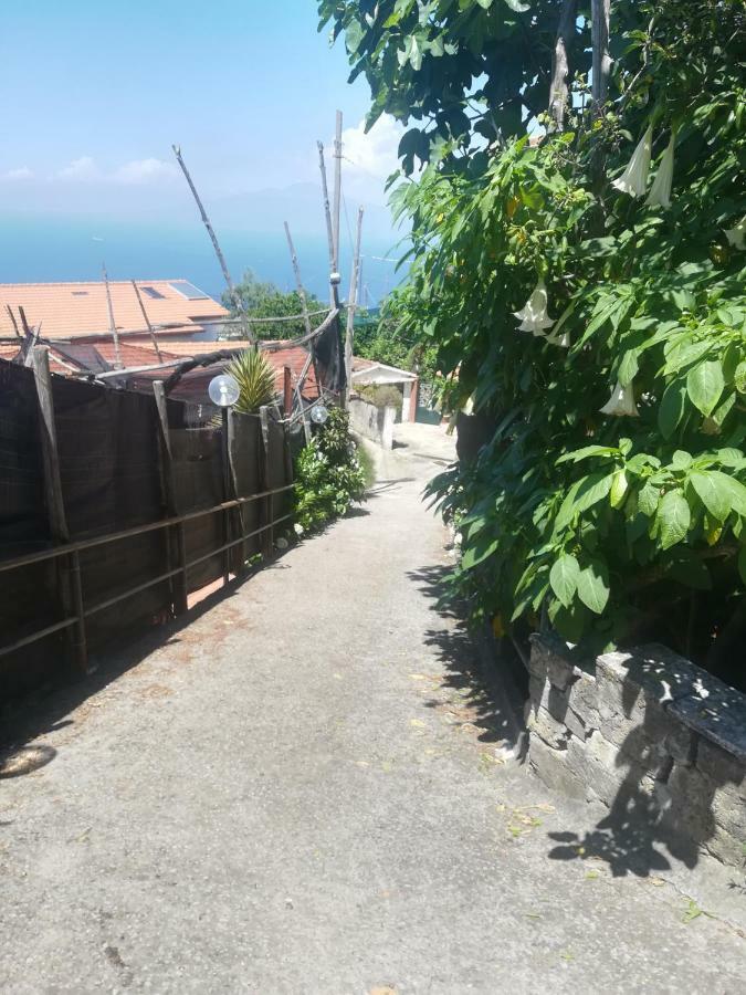 Casa Vacanza L'ulivo Sorrento
