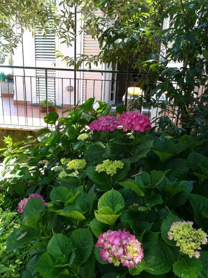 Casa Vacanza L'ulivo Holiday home Sorrento