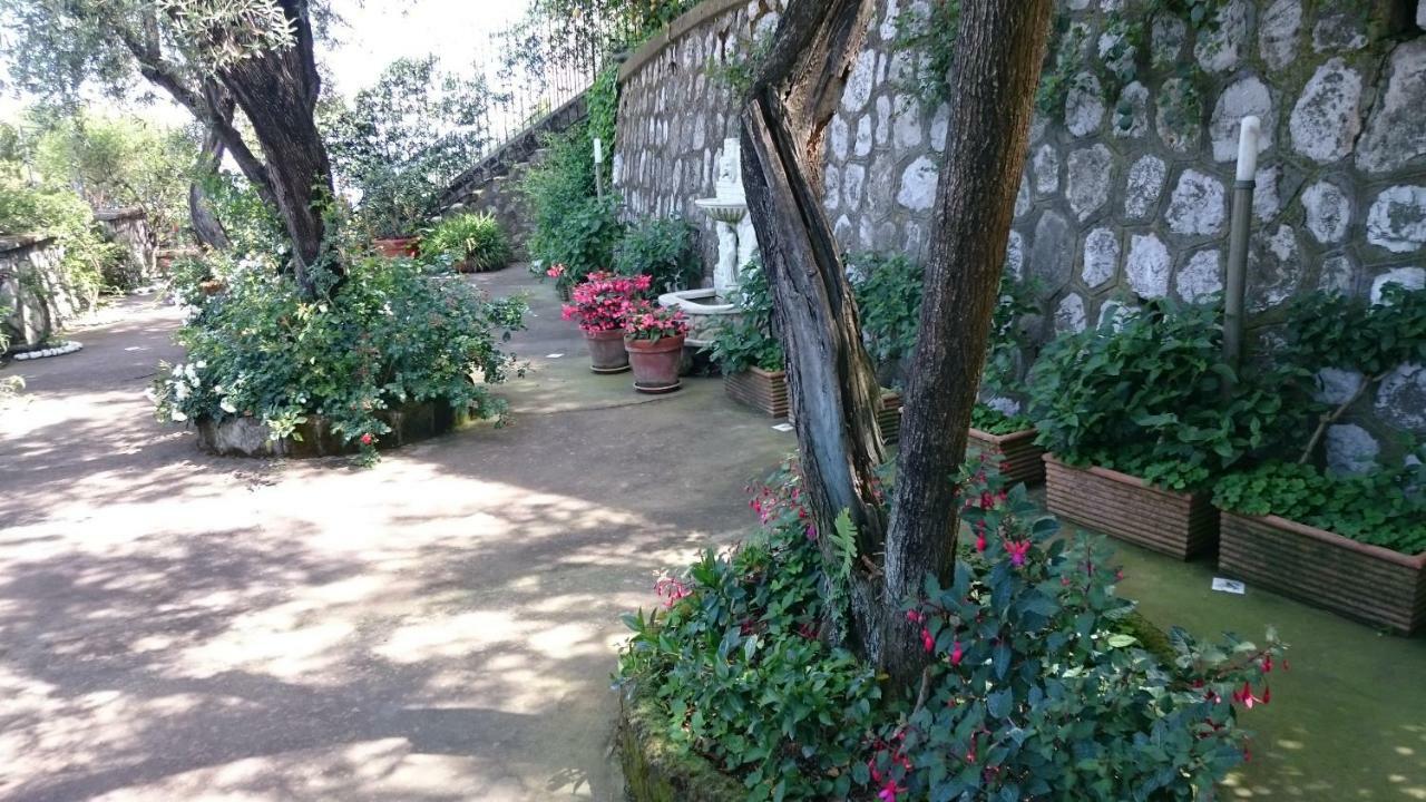 L'ulivina Villa Sorrento