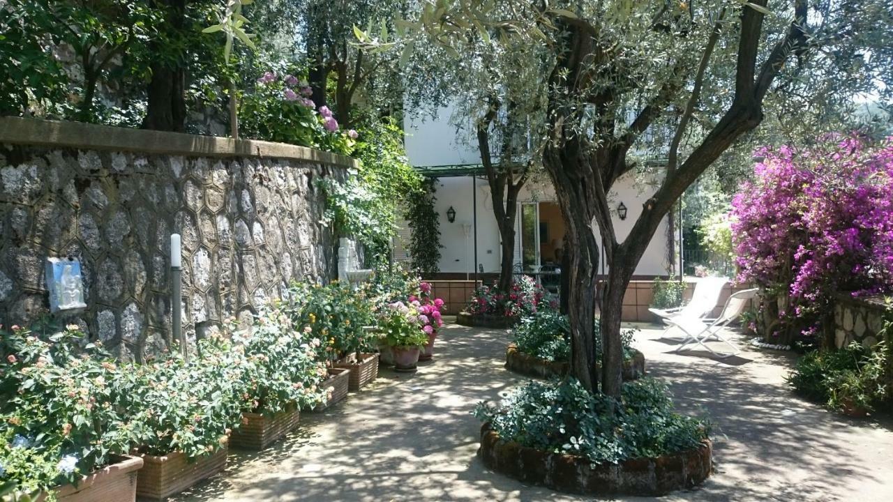 L'ulivina *