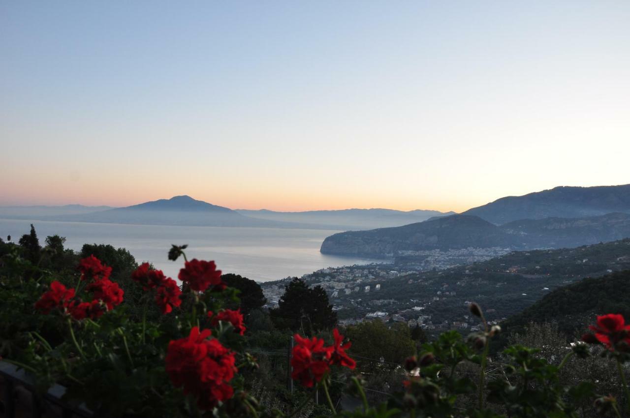 Casa Gaia Sorrento Bio Vacanze Sorrento