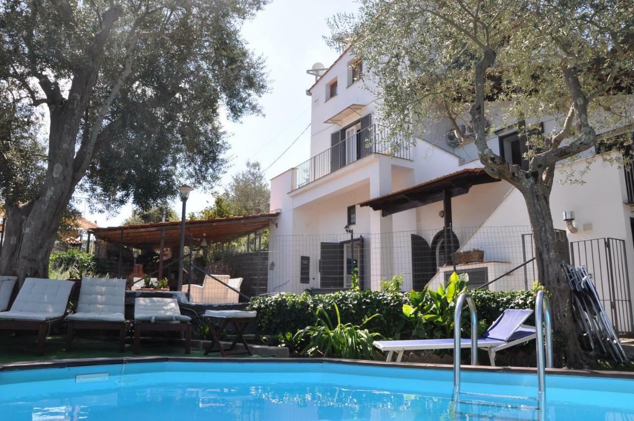 Casa Gaia Sorrento Bio Vacanze Bed & Breakfast
